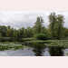 Pic-201007120854