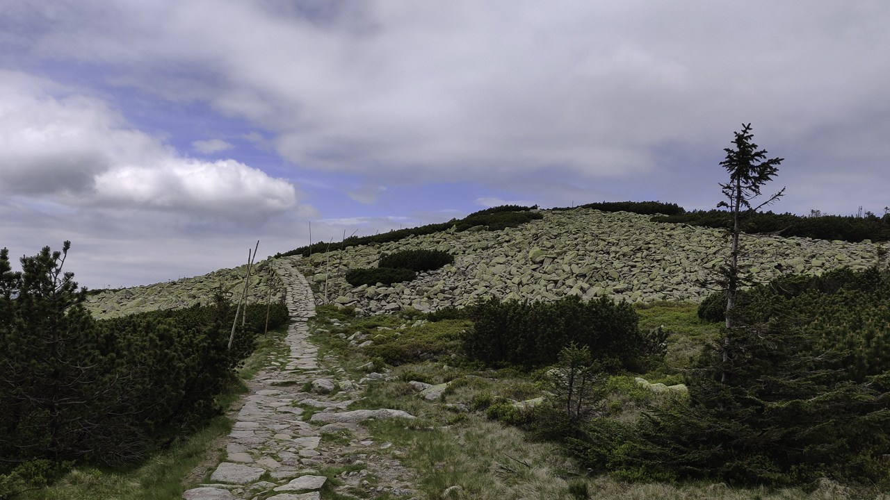 PIC-200617114754