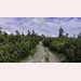 Pic-200617100710