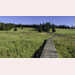 Pic-200806073056