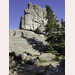 Pic-200806075620