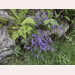 Pic-200806142246