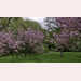 Pic-200505155012