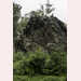 Pic-200624130034
