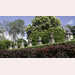 Pic-200625150152
