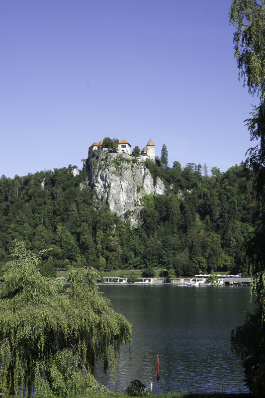 PIC-200820095646