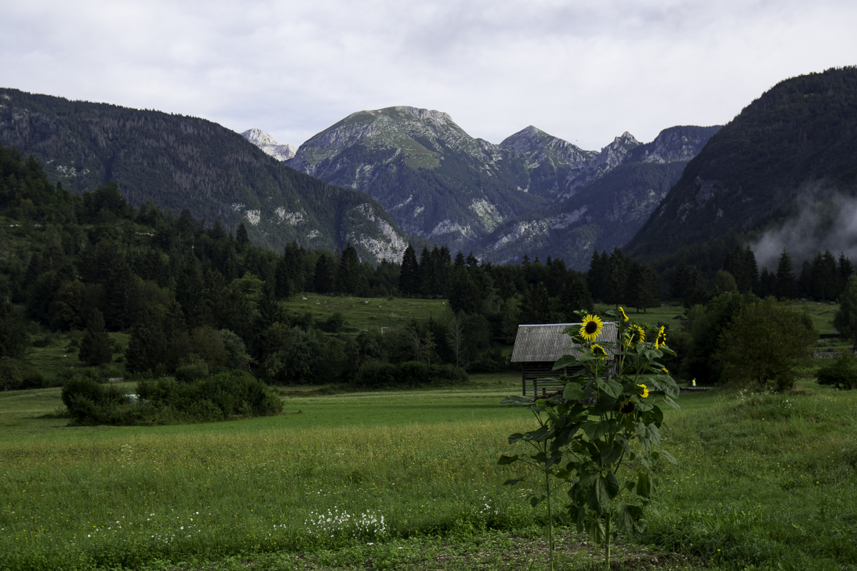 PIC-200826083808