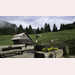 Pic-200826085204