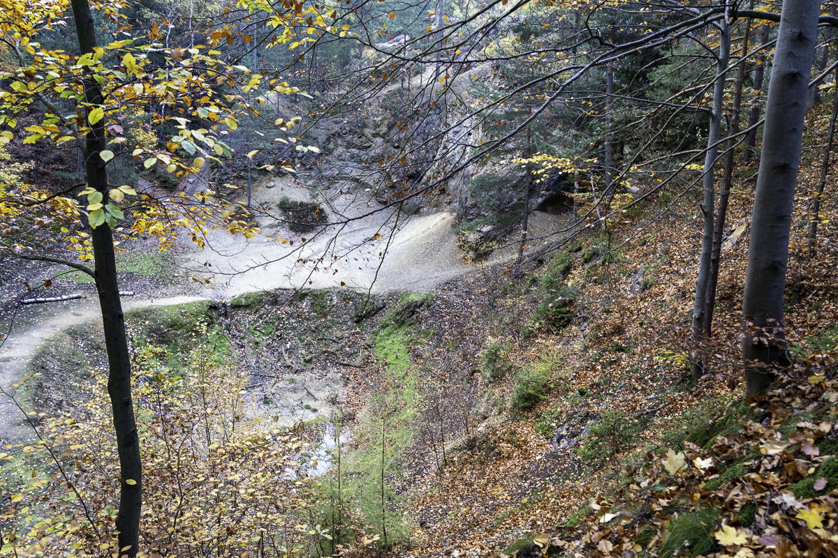 PIC-221020081202