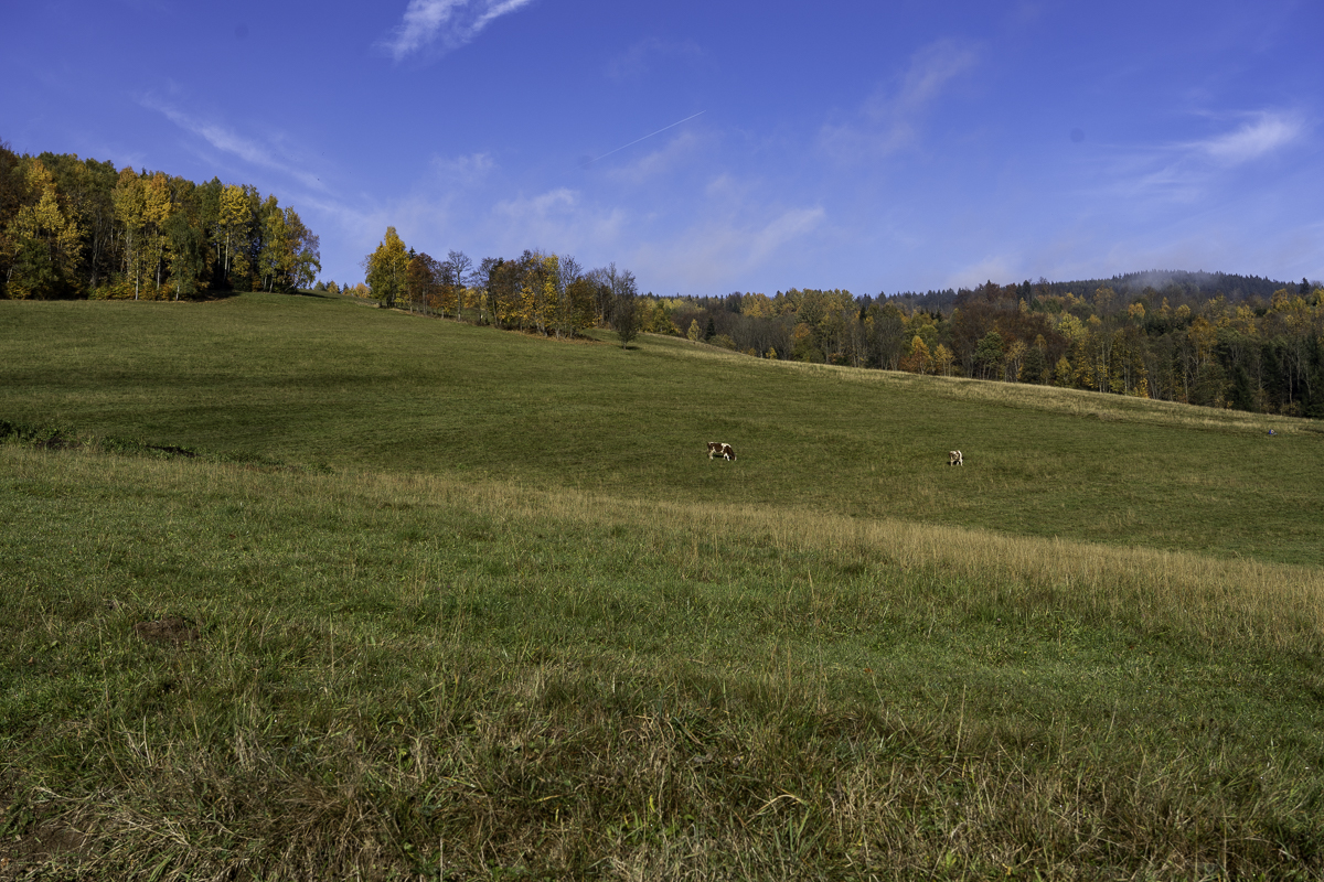 PIC-221020101531