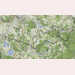 Pic-220325000000