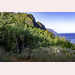 Pic-220919080317