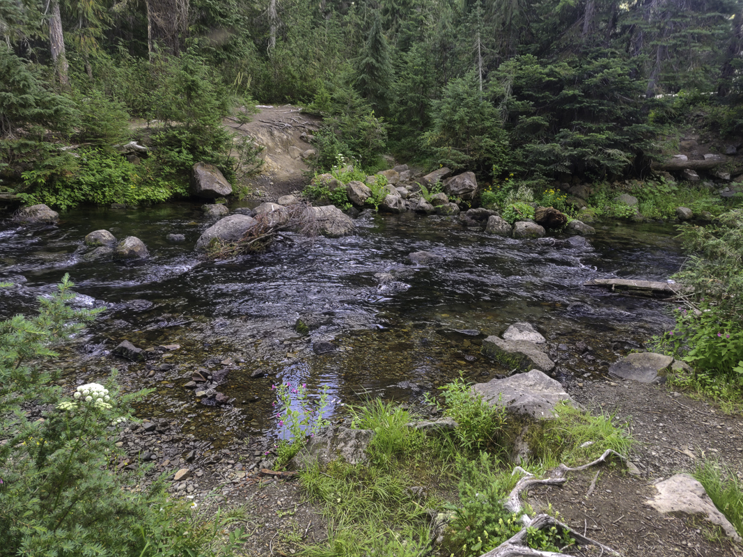PIC-220810074407