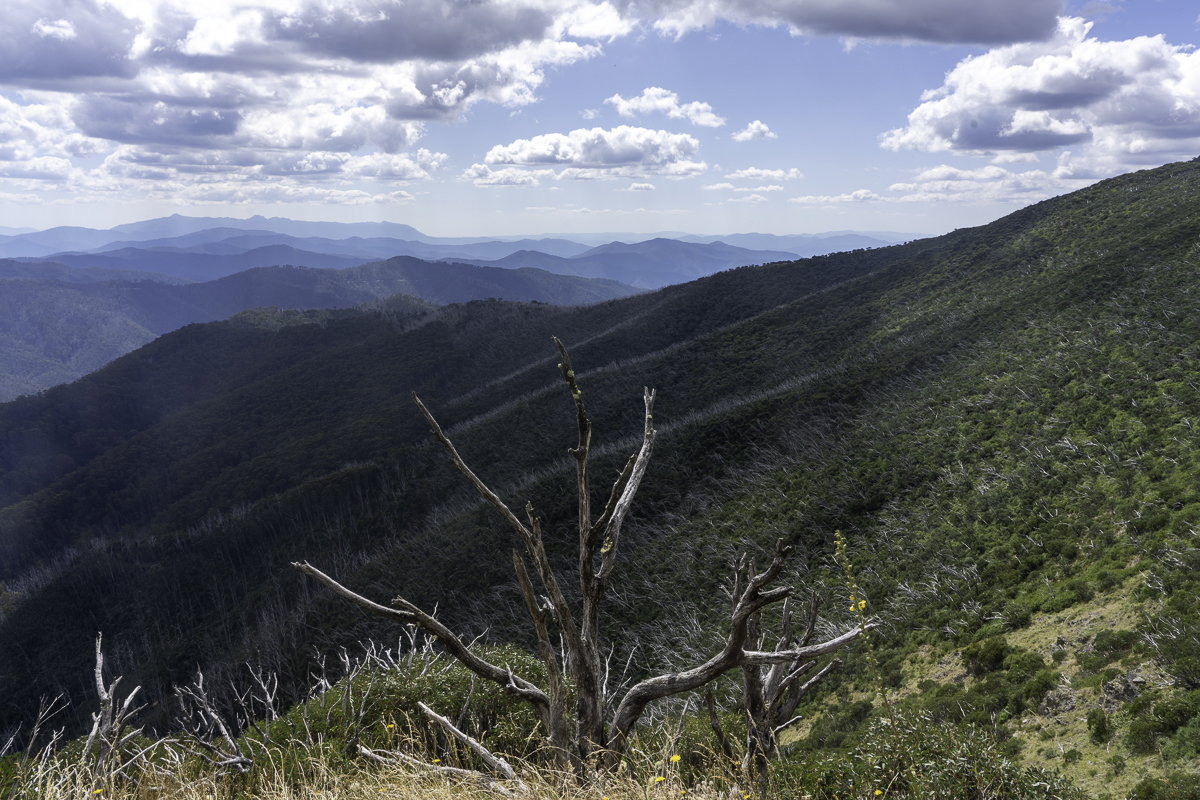 PIC-230227140942