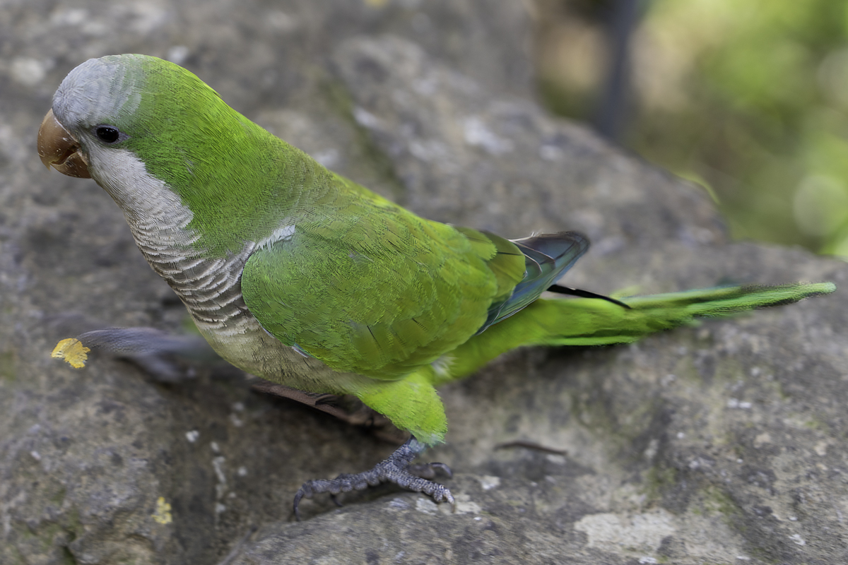 PIC-230526171256