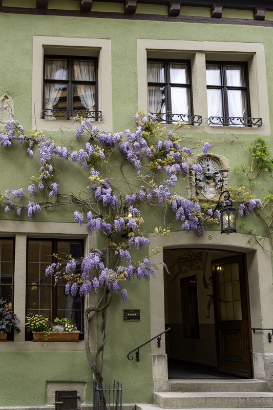 PIC-230519153930