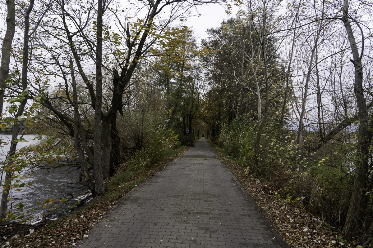 PIC-231115131020