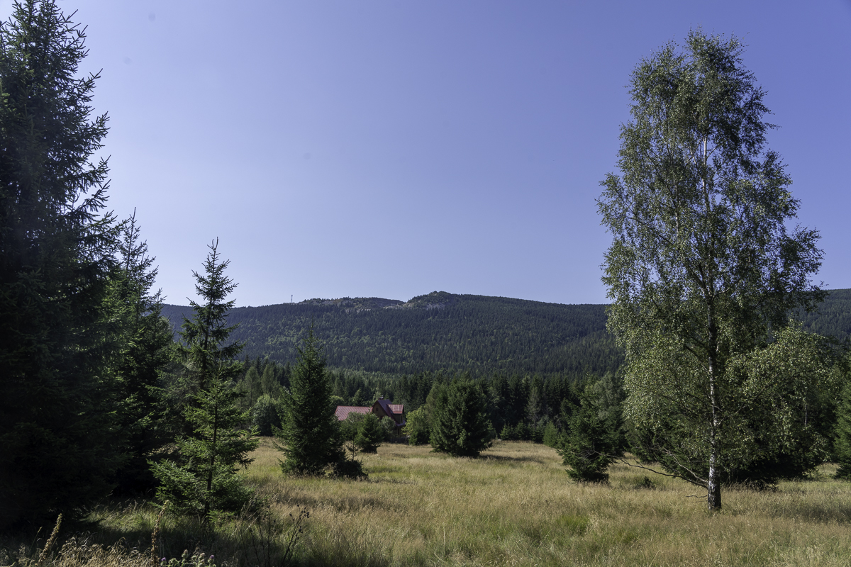PIC-240814103936