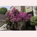 Pic-240520121758