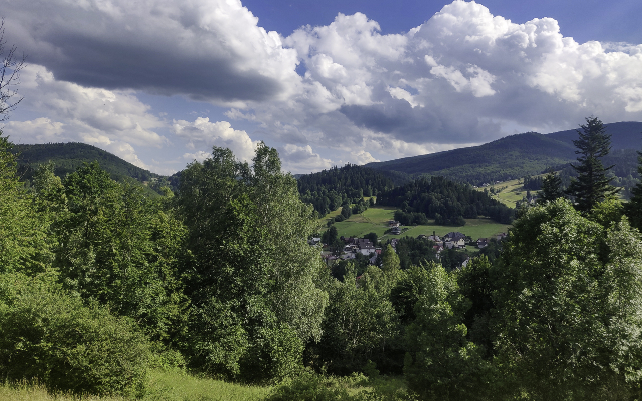 PIC-250713164444