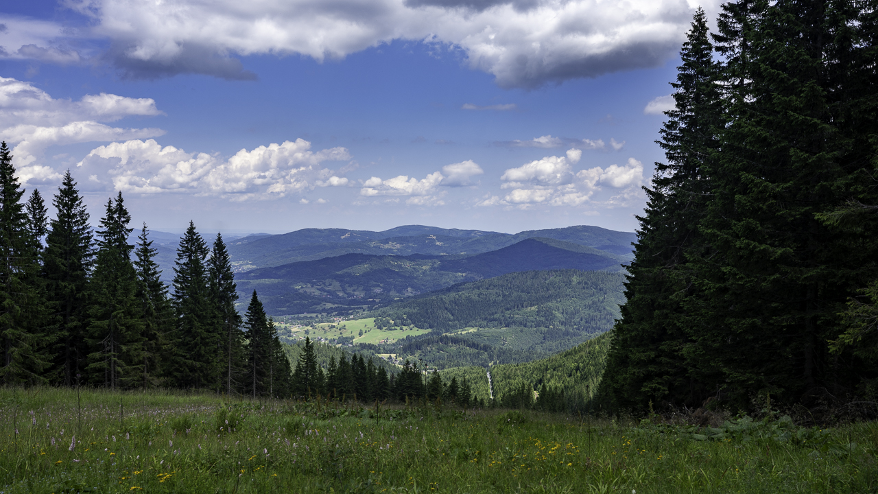 PIC-250714131114