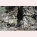 Pic-250226120330