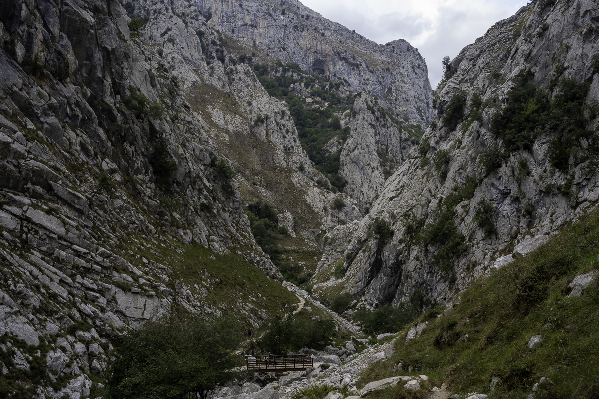 PIC-250907152958