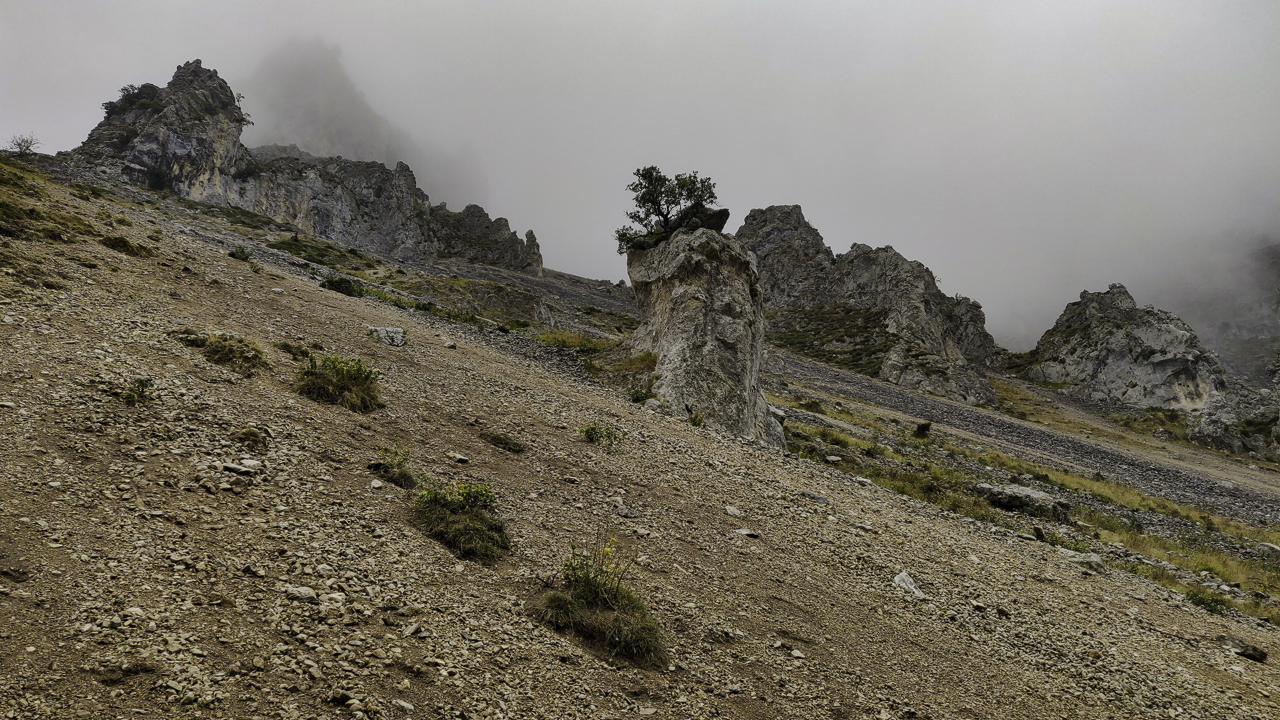 PIC-250908114222