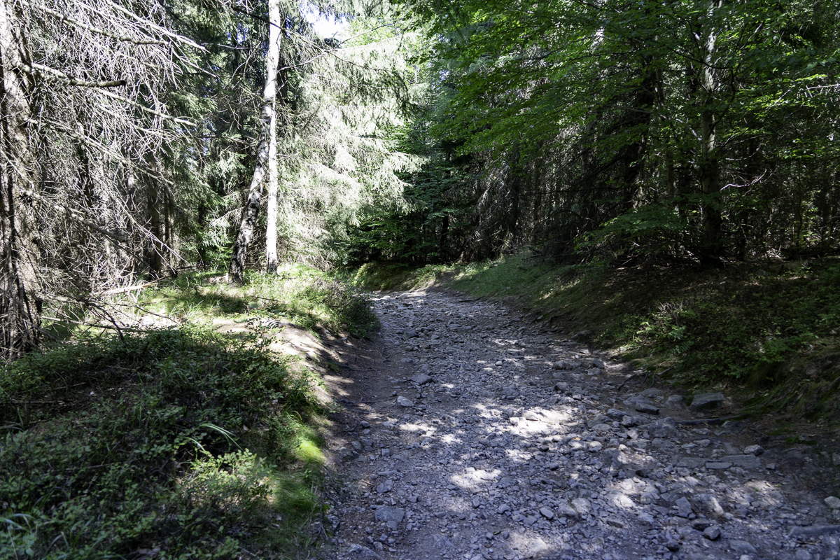 PIC-260811114654