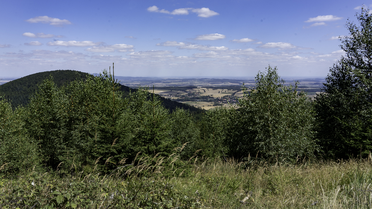 PIC-260812115846