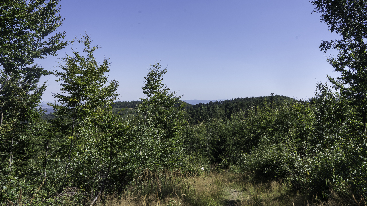 PIC-260812145238